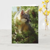 Gray Fox Kaart (Gele Bloem)