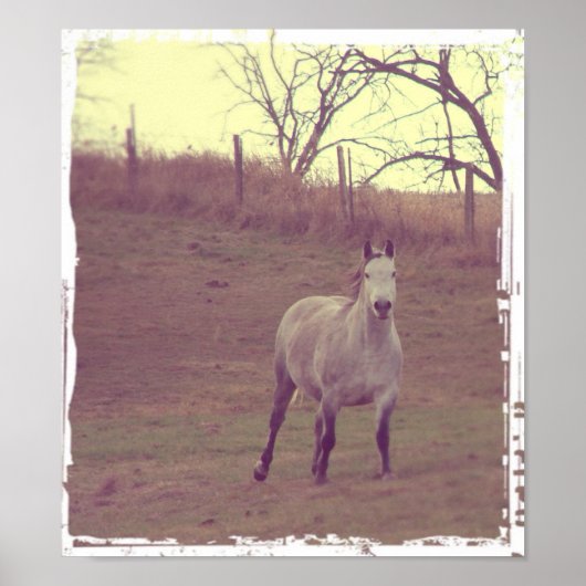 Gray Gallop Poster (Voorkant)