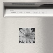 Gray Gerbera Magnet Magneet (Insitu (Vaatwasser))