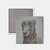 Gray Greyhound Chien Magnet d'art (Recto/Verso)