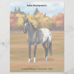 Gray Grulla Appaloosa Quarter Horse Stallion Briefhoofd