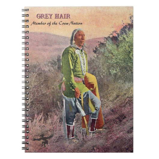 Gray Hair Native American Notitieboek (Voorkant)