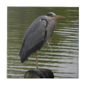 Gray Heron Tile Tegeltje (Voorkant)