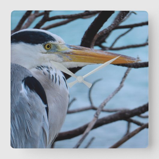 Gray Heron Vierkante Klok (Voorkant)