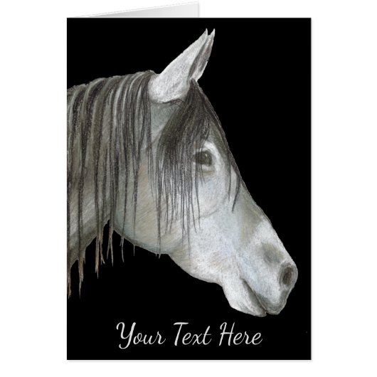 Gray Horse (Voorkant)