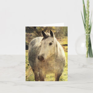 Gray Horse Birthday Kaart