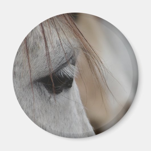 Gray Horse Eye Magneet (Voorkant)