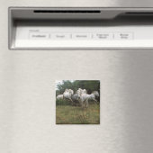 Gray Horse Herd Magneet (Insitu (Vaatwasser))