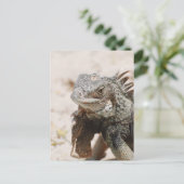 Gray Iguana Briefkaart (Staand voorkant)