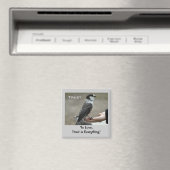 Gray Jay Magnets de motivation (In Situ (Lave-vaisselle))