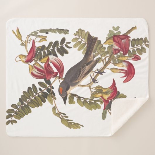 Gray Kingbird Audubon Bird on Flowering Tree Sherpa Deken (Voorkant (horizontaal))