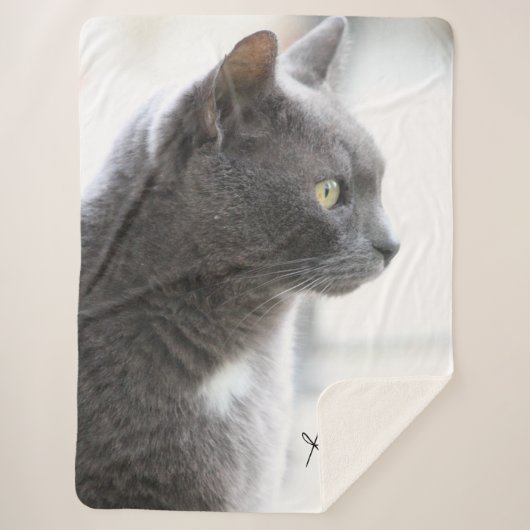 Gray Kitty Cat Sherpa Deken (Voorkant)