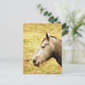 Gray Mare Briefkaart (Staand voorkant)