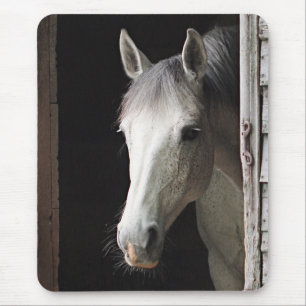 Gray Mare Horse Animals Mousepad Muismat
