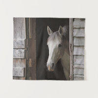 Gray Mare Horse Animals