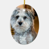 Gray Miniature Schnauzer Keramisch Ornament (Voorkant)