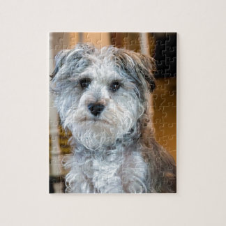 Gray Miniature Schnauzer Legpuzzel