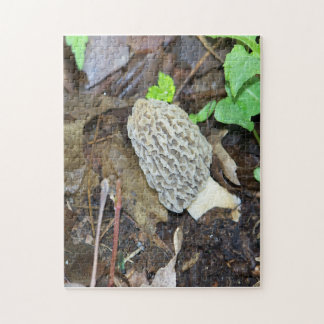 Gray Morel Mushroom Legpuzzel