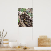 Gray Morel Poster (Keuken)