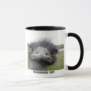 Gray Ostrich Mok