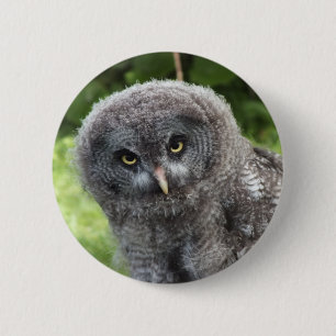GRAY OWL RONDE BUTTON 5,7 CM
