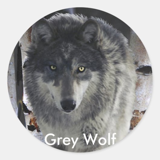 GRAY PACK WOLF Collectie Ronde Sticker (Voorkant)