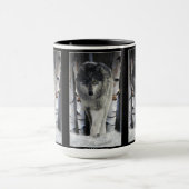 GRAY PACK WOLF Wildlife Gift Mugs (Centre)
