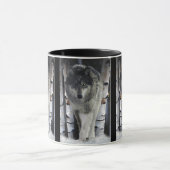 GRAY PACK WOLF Wildlife Gift Mugs (Centre)