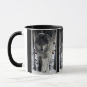 GRAY PACK WOLF Wildlife Gift Mugs (Gauche)