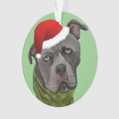 Gray Paint Pit Bull Santa Hat Ornament (voorkant)