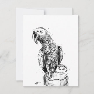 Gray Parrot Bedankkaart
