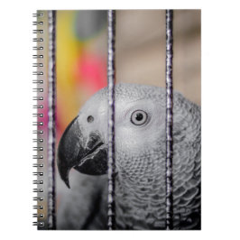 Gray Parrot Notitieboek