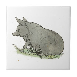 Gray Piggy Children's Book Illustration Tegeltje