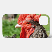 Gray Rooster-foto's Case-Mate iPhone Case (Achterkant (horizontaal))