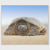 GRAY SAND TURTLE CADEAUPAPIER (Vlak)
