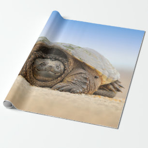 GRAY SAND TURTLE CADEAUPAPIER