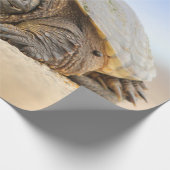 GRAY SAND TURTLE CADEAUPAPIER (Hoek)