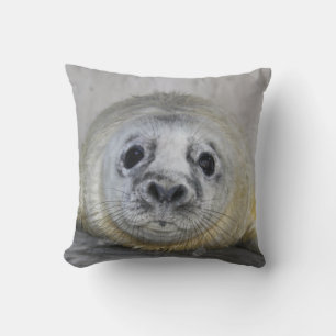 Gray Seal Pup Kussen