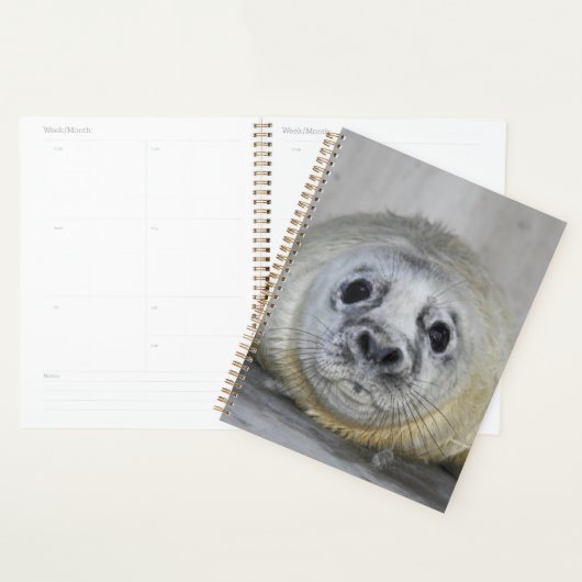 Gray Seal Pup Planner (Display)