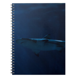 GRAY SHARK IN LICHAAM WATER NOTITIEBOEK