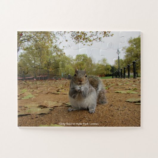Gray Squirel Hyde Park Londen Legpuzzel (Horizontaal)