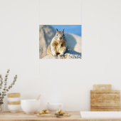 Gray squirrel, Monterey Bay, Californië Poster (Keuken)
