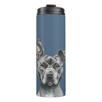 Gray Stalky Pit Bull Dog Tekening