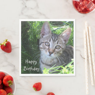 Gray Tabby Cat Birthday Servet
