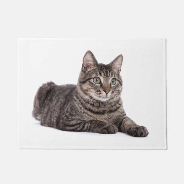 Gray Tabby Cat Deurmat (Voorkant)