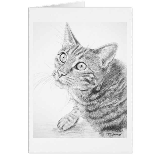 Gray Tabby Cat Drawing (Voorkant)