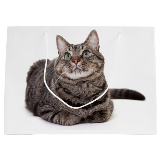 Gray Tabby Cat Groot Cadeauzakje (Voorkant)