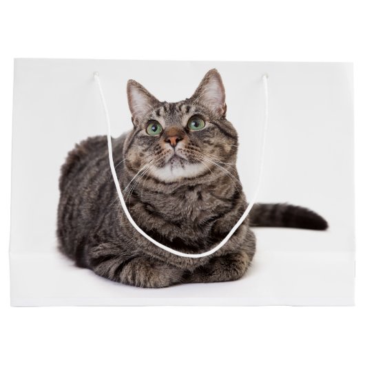 Gray Tabby Cat Groot Cadeauzakje (Achterkant)