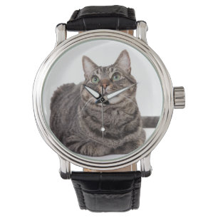 Gray Tabby Cat Horloge
