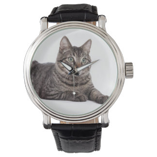 Gray Tabby Cat Horloge